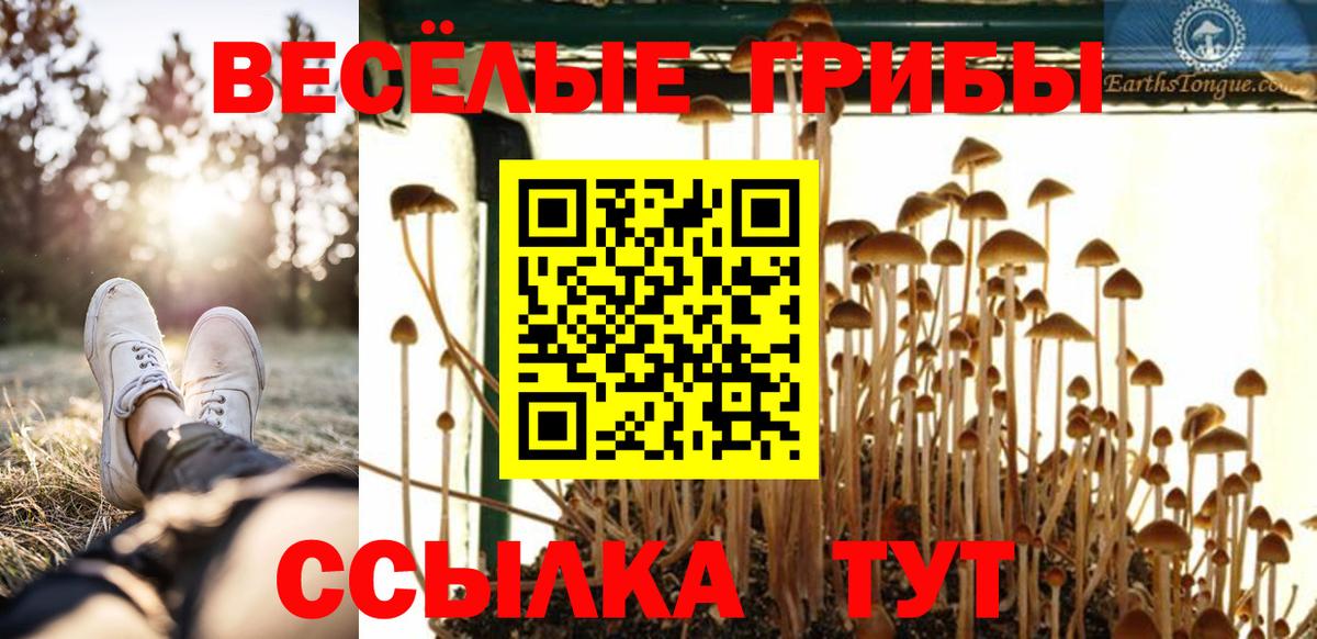 Галлюциногенные грибы мухоморы  хочу   Отрадный  Вход с VPN  Галлюциногенные грибы Psilocybe 