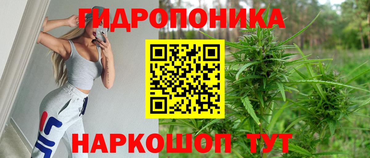 Отрадный  Бошки марихуана Ganja  Вход с VPN  Бошки Шишки Bruce Banner  Бошки Шишки Bruce Banner 